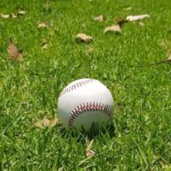 Pelota de baseball de vinil.